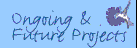 Ongoing & Future Projects
