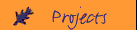 Projects